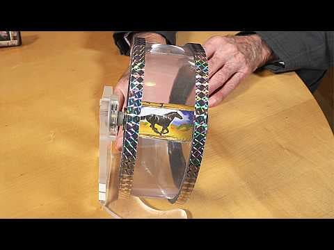 New Zealands kaka and tieke