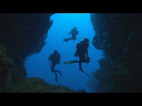 Dakuwaqas Garden - Underwater footage from Fiji and Tonga
