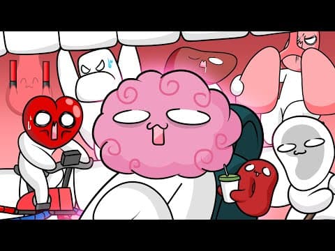 The daily life of human organs