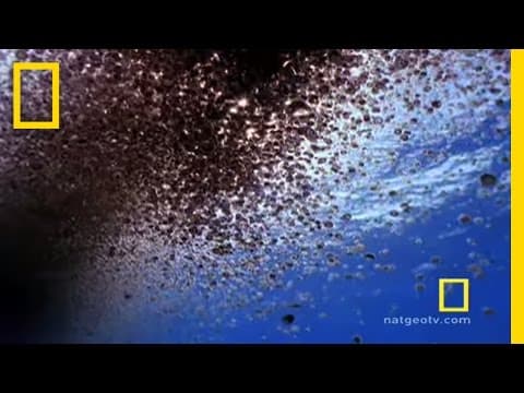 Bermuda | Exploring Oceans