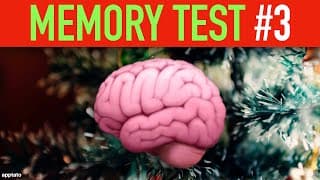 MEMORY TEST GAME