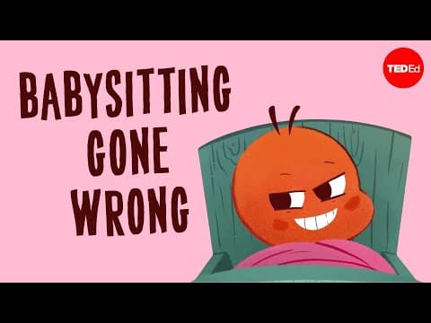 Babysitting Gone Wrong: Alcon blue butterflies and Myrmica ants