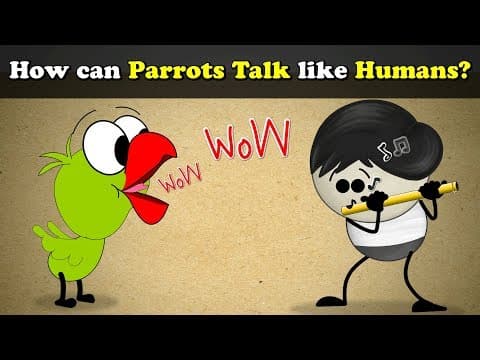 How can parrots talk like humans?