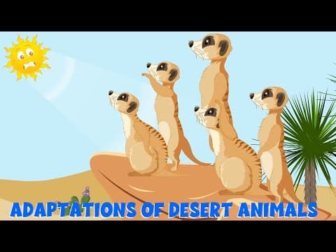 Adaptations of the Desert Animals - How Do Animals Survive in the Desert? - Learning Junction