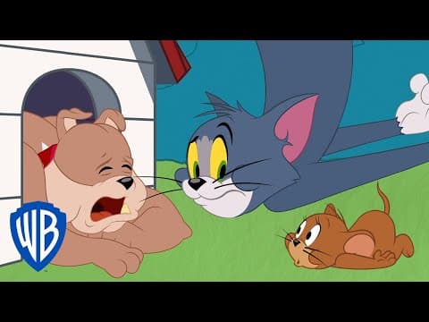 Tom and Jerry | Getting Rid of the Bad Tooth | WB Kids