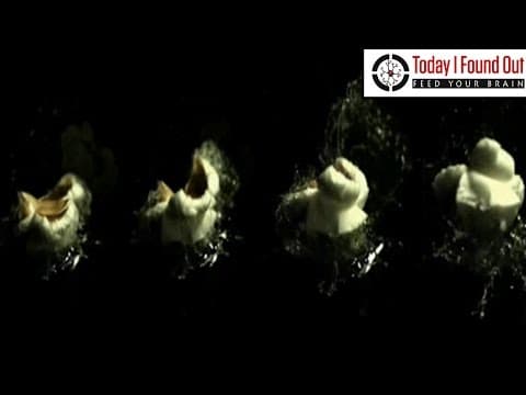 Why Does Popcorn Pop