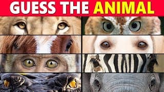 Guess the Animal by Eyes Animal Quiz