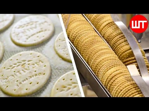 Biscuit Factory Process | How Biscuits Are Made In Factory