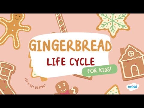 Gingerbread Life Cycle for Kids | How To Make Gingerbread | Twinkl USA