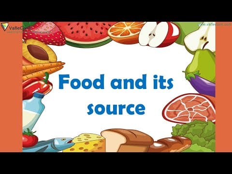 Foods and its resources for kid l Learn from where your food comes