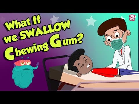 What if we swallow chewing gum? - swallowing bubble gum - dr binocs show
