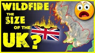 WILDFIRE size Comparison