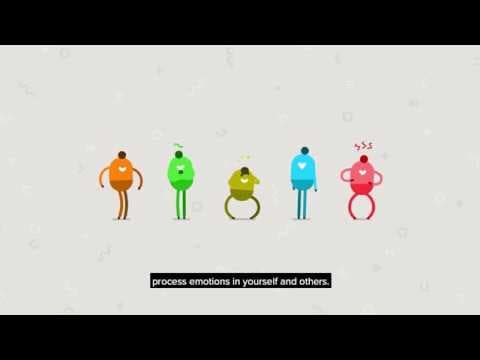 Developing emotional intelligence