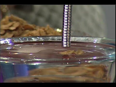 Magnetic breakfast cereal with science bob