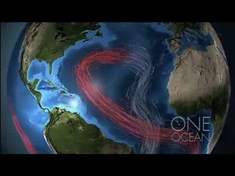 The great ocean conveyor - YouTube