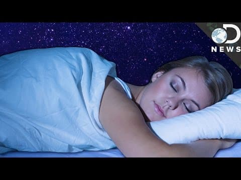 Why Aren’t Humans Naturally Nocturnal?