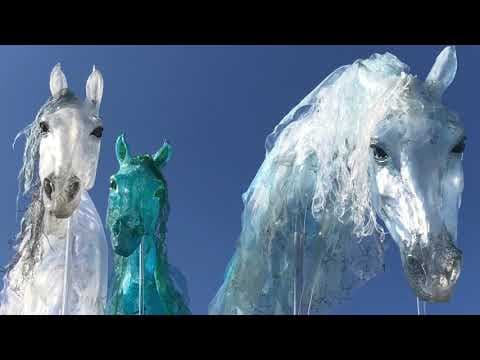 These fly larvae thrive in the tar pits where mammoths perished
