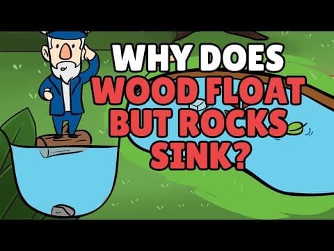 Why Does Wood Float But Rocks Sink? | Objects that Float and Sink in Water