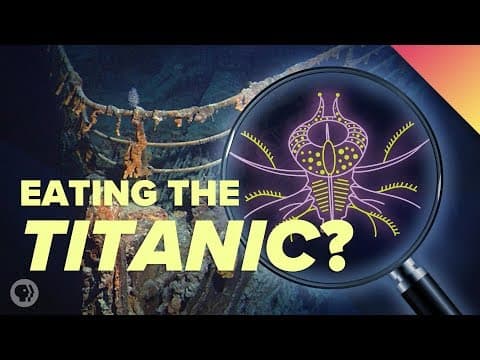 Extreme Deep Sea Creatures Are Eating The Titanic
