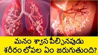 How The Respiratory System Works in Human Body in Telugu | How Breathing Works