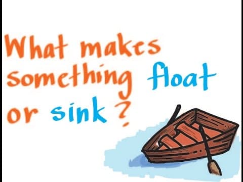Buoyancy what makes something float or sink?