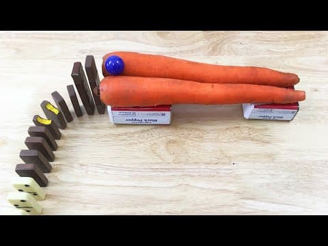 Pass the Salt, an intricate food-themed Rube Goldberg Machine