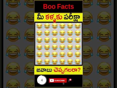 Riddles for chidren - find the odd one in the picture