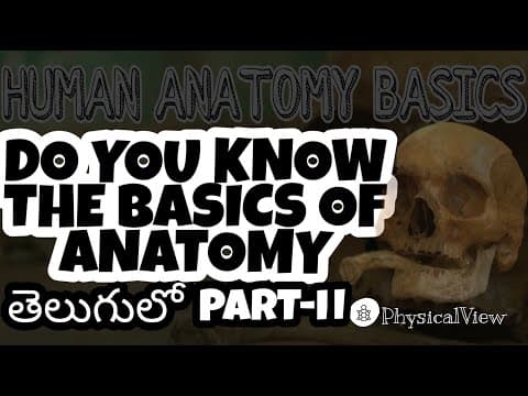 ANATOMY BASICS PART TWO | DO YOU KNOW THE BASICS OF ANATONY | IN TELUGU