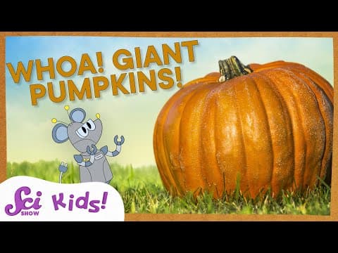 Why Do Pumpkins Get So Big? | SciShow Kids