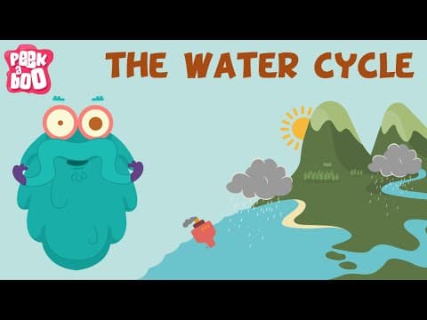 The Water Cycle | The Dr. Binocs Show | Learn Videos For Kids - YouTube