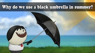 Why do we use a black umbrella in summer aumsum kids science education children