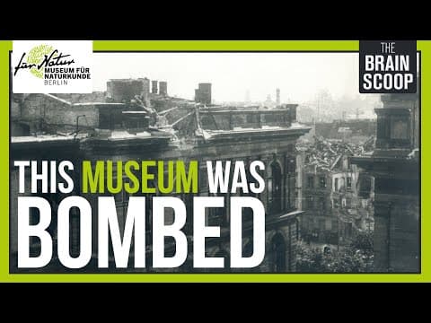 The Story of Berlin's Natural History Museum - YouTube