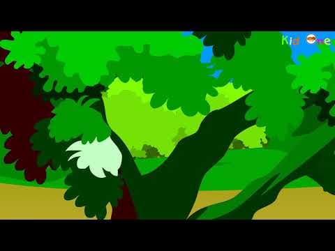 Farmer and snake - రైతు మరియు పాము - stories