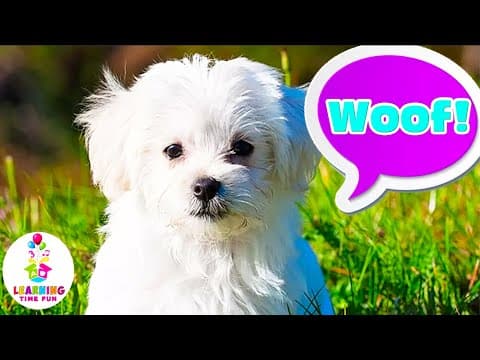 Learn Animal Sounds for Toddlers (with CUTE ANIMALS!)