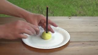 Kid Experiments | Sundial