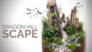 Dragon Hill Terrascape