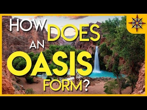 How does an oasis form?