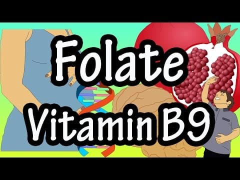 What Is Folate Vitamin B9 - Functions, Benefits Of, Foods High In Folate Vitamin B9