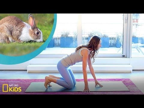 Yoga animals tuck like a bunny - book club