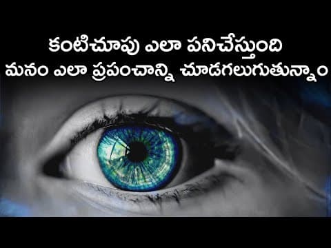 How Eye Works Explained In Telugu  -  The Eye Anatomy