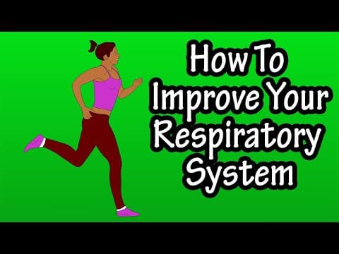 How To Improve Your Respiratory System - Improve The Health And Fitness Of Your Respiratory System