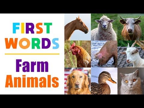 Learning Farm Animals Names for Children - First Words for Toddlers Babies Kindergarten Kids
