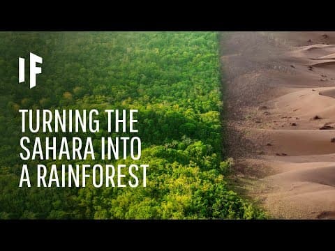 What If We Drained the Oceans?