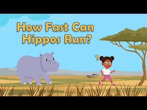 How Fast Can Hippos Run? - Animal Facts for Kids - Hippos Facts - Science Facts For Kids