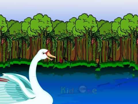 గుడ్లగూబ మరియు హంస ,the owl and the swan - stories