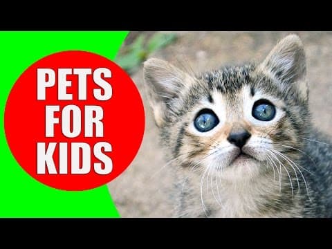 Pets for Children - Pet animal sounds for kids to learn - Exotic Pets & Small Pets
