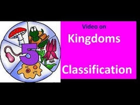 Classification of Living things for Kids