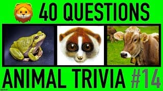 Animals Knowledge Trivia Quiz