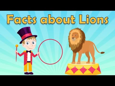 Facts about Lions for Kids - Lion Facts for Kids - Fun Facts about Lions - Lion Facts - Animal Facts