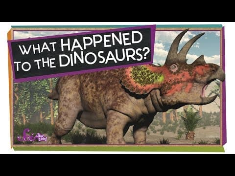 What Happened to the Dinosaurs?
